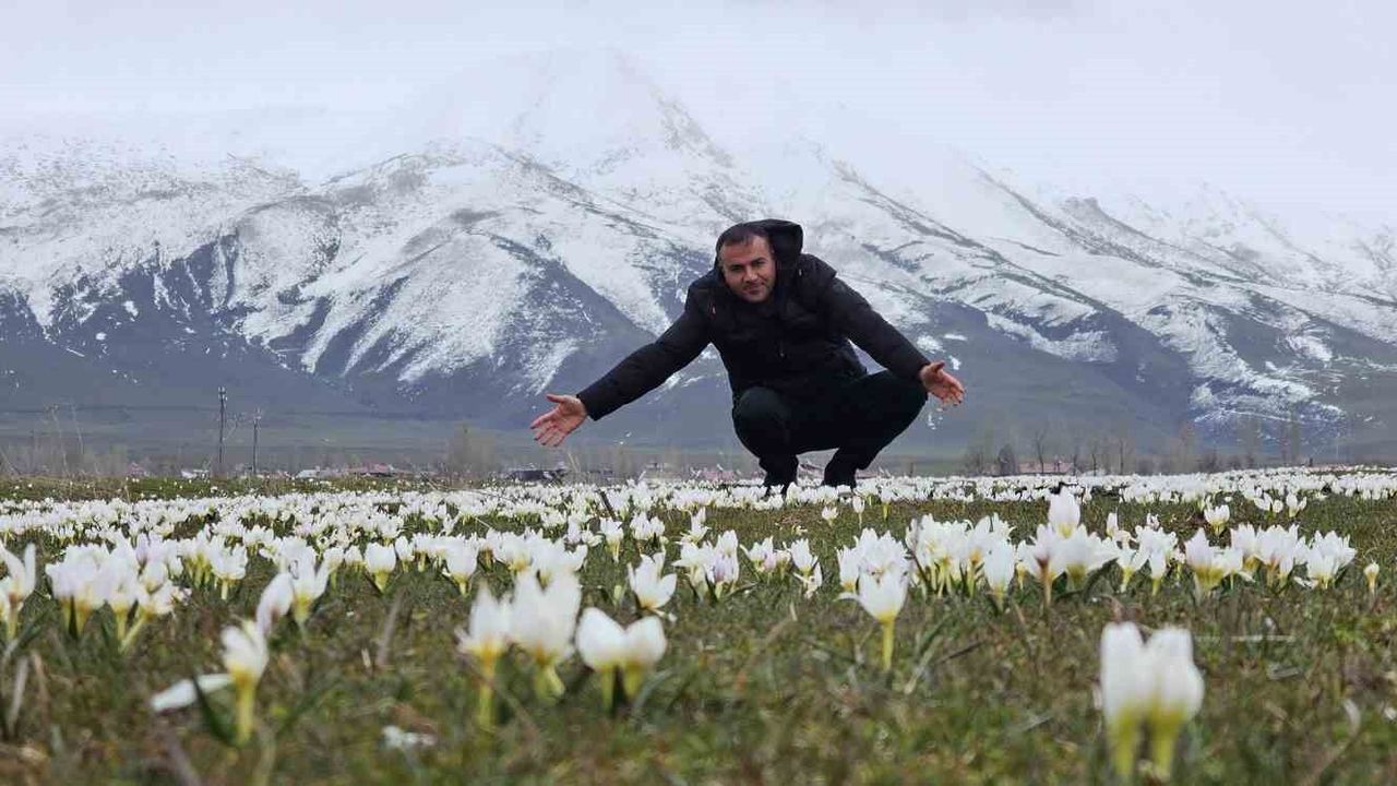 Bitlis'te Baharın Sembolu Kardelenler Çiçek Açtı