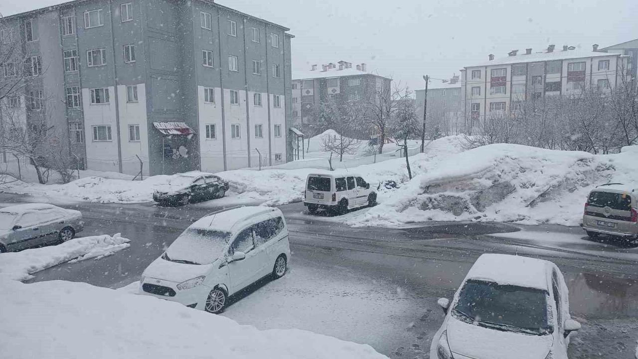 Bitlis'te Mart ayında kar sürprizi