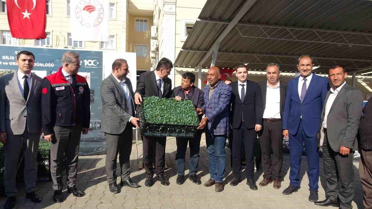 Kilis'te 320 çiftçiye üzüm şalı, 250 çiftçiye 400 bin fide yardımı