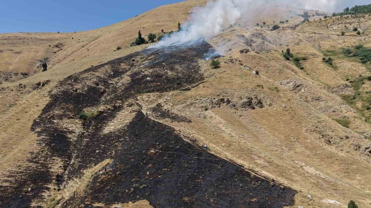 Bitlis'te örtü yangını kontrol altına alındı