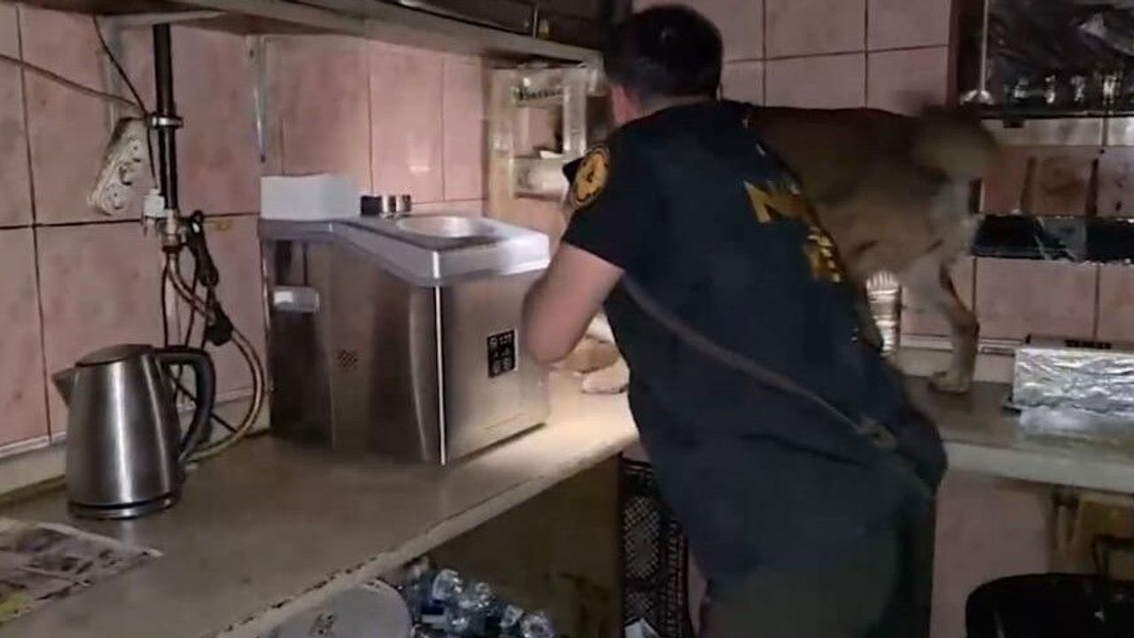 Bitlis'te uyuşturucu operasyonunda 11 kişi tutuklandı
