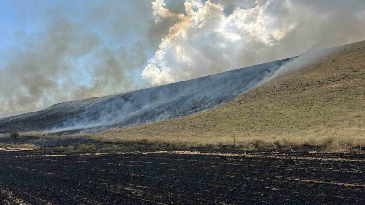 Bitlis'te yangın felaketi: 400 dönüm tarım arazisi yandı