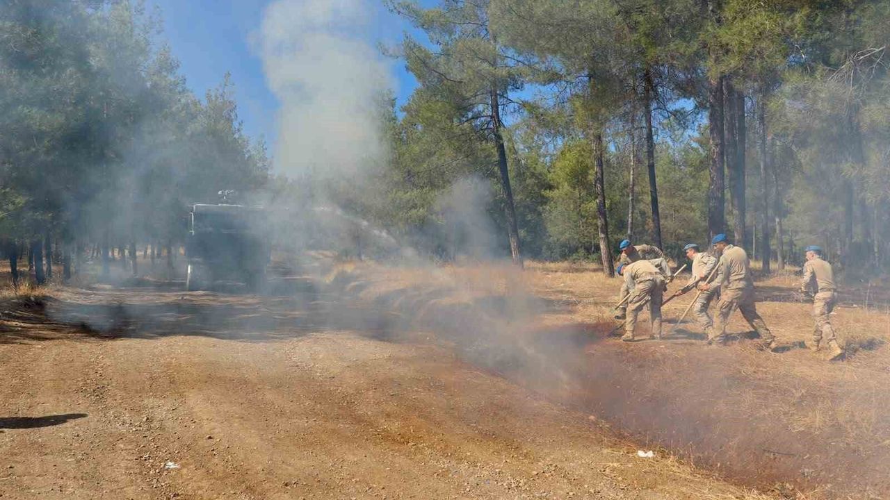 Kilis'te Orman Yangınları İçin Devriye Faaliyetleri Artırıldı