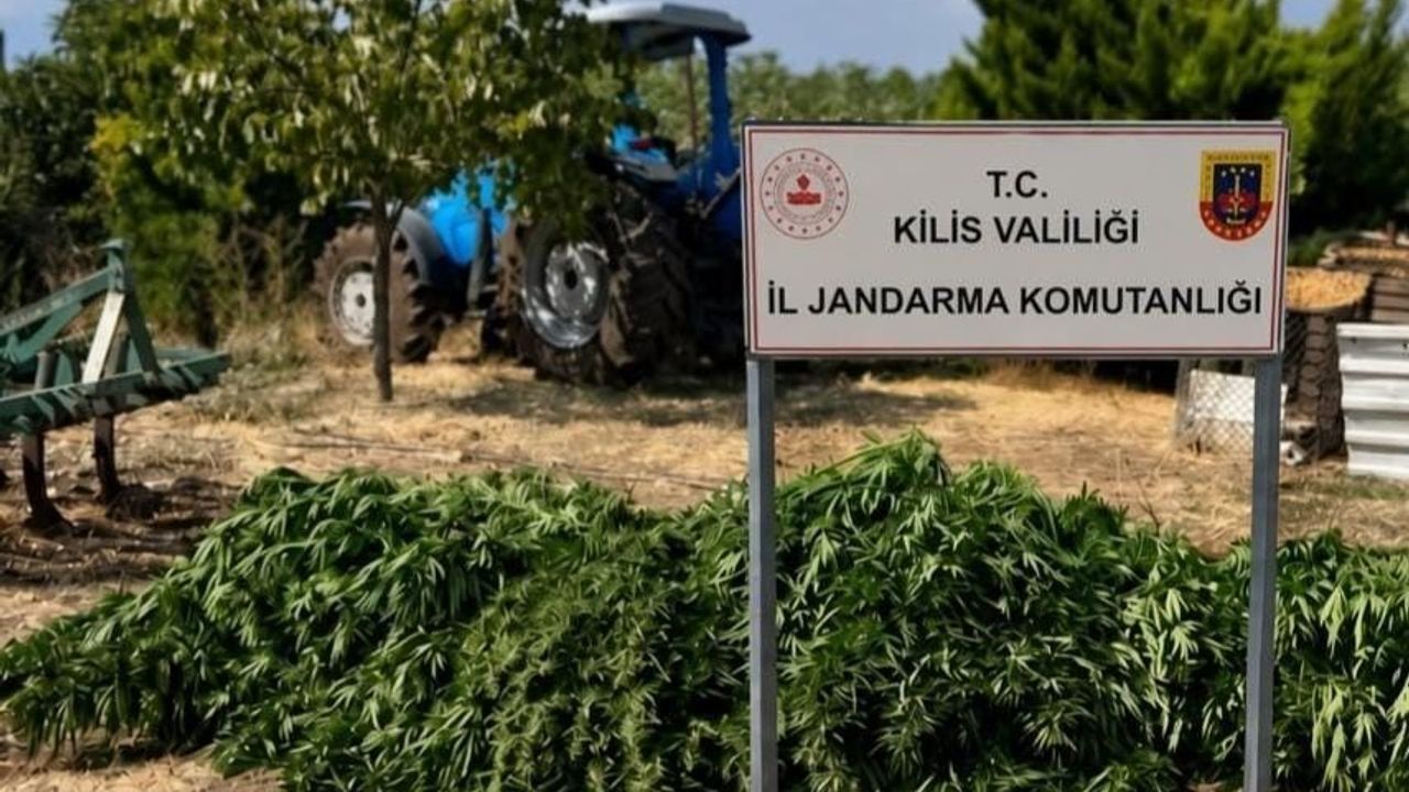Kilis'te Uyuşturucu Operasyonu: 40 Kilo Esrar ve 65 Kök Kenevir Ele Geçirildi