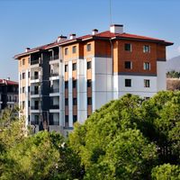 Yaşam