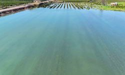 Adana'da sel suları tarım arazilerini sular altında bıraktı