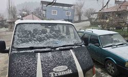 Alaşehir'de bir günde 4 mevsim yaşandı