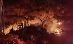 Bodrum'daki orman yangını kontrol altına alındı, rüzgar müdahaleyi zorlaştırdı