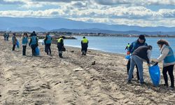 Deniz Çöpleri İzleme Programı (MLW) kapsamında Altınkum'da anlamlı temizlik