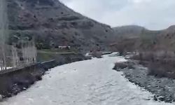 Diyarbakır'da yağışların ardından Şakirhan Çayı yeniden hayat buldu