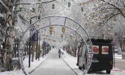 Erzurum'da soğuk havanın etkisiyle ağaçlar kırağı tuttu