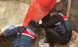 Jandarma, kümese saklanan uyuşturucuyu ele geçirdi: 2 gözaltı