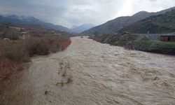 Kulp Çayı taştı: Yağış ve kar erimesiyle debi rekor seviyeye çıktı