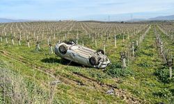 Manisa'da takla atan otomobil, üzüm bağına uçtu