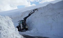 Muş'ta kar kalınlığı 6 metreyi aştı