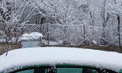 Posof'ta kar sürprizi