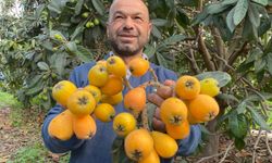 Sarı altın erken geldi: Yenidünya mart ayını beklemedi