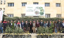 Şırnak'ta 25 bin 200 fidan toprakla buluştu: 810 dekar meyve bahçesi oluyor
