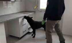 72 Bin Extacy Hap Ele Geçirildi, Şüpheliler 'Bizim Değil' Dedi