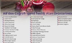 Adana şalgamı Avrupa Birliği'nden coğrafi işaret aldı