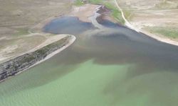 Adıyaman'ın atık suyu Atatürk Barajı'nı kararttı