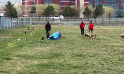 Afyonkarahisar'da Uluslararası Alan ve Enkaz Arama Köpekleri Yarışması Başladı
