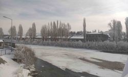 Ardahan'da kar yerini soğuk havaya bıraktı