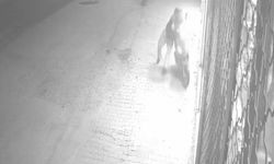 Gaza bastı, motosikletten düştü