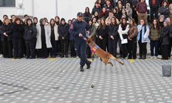 İtaat köpeği Nefes'ten öğrencilere nefes kesen gösteri