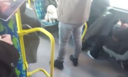 Metrobüste köpek koltukta oturdu, sosyal medyada tartışma başladı
