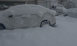 Patnos'ta baharı beklerken 40 santimetre kar yağdı