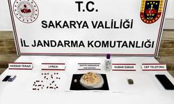 Sakarya'nın iki ilçesinde zehir tacirlerine operasyon: 2 tutuklama