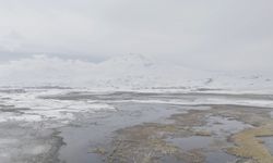 Sarısu sazlıkları ile Süphan Dağı'nın karlı zirvesi göz kamaştırıyor