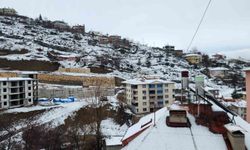 Tunceli'de mart sabahında kar sürprizi