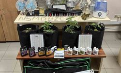 Uyuşturucu kullanan 68 kişiye işlem yapıldı, 2 kişi tutuklandı