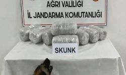 Ağrı'da 10 Kilogram Uyuşturucu Ele Geçirildi, Bir Şahıs Tutuklandı