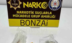 Akşehir'de Narkotik Operasyonu: Bir Kişi Tutuklandı