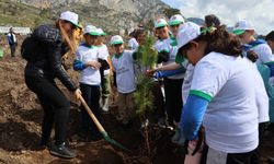 Akyaka'daki Yangın Alanı Yeniden Ağaçlandırılıyor