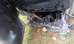 Alanya'da Çamaşır Makinesinde Yangın Panik Yarattı