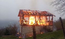 Alevlerle kaplanan ardiye kullanılamaz duruma geldi