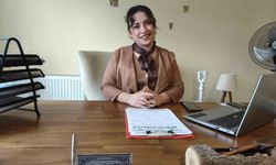 Alışılmış Öfke Artık Normalleşiyor