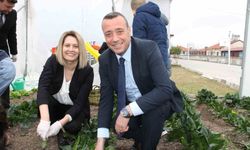 Altıntaş Zafer İlkokulu'nda Tarım Atölyesinin İlk Ispanak Hasadı Yapıldı