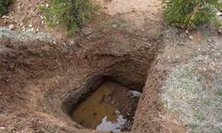 Ankara'da yasadışı kazıya düşen köpek kurtarıldı