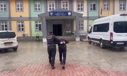 Antakya'da hayvan hırsızlığı şüphesiyle bir kişi yakalandı