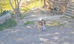 Antalya'da sokakta oynayan 7 yaşındaki çocuğa sahipsiz köpek saldırdı