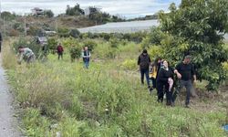Antalya'da Takla Atan Ticari Araçta Sürücü Yaralandı