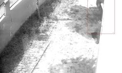 Apartman Dairesine Tırmanarak Girdi, Dizüstü Bilgisayar Çaldı