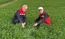 Araban Ovası'nda Yağışların Tarım Üzerindeki Etkileri Araştırıldı