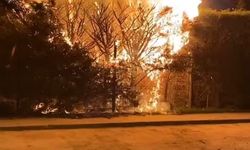 Ateşe Verilen Ağaç İtfaiye Ekiplerini Harekete Geçirdi