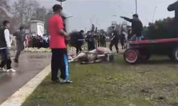 Atına Şiddet Uygulayan Kişi Gözaltına Alındı